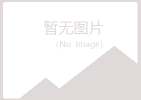 宁夏如柏化学有限公司